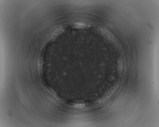 X0000114190653200911061404