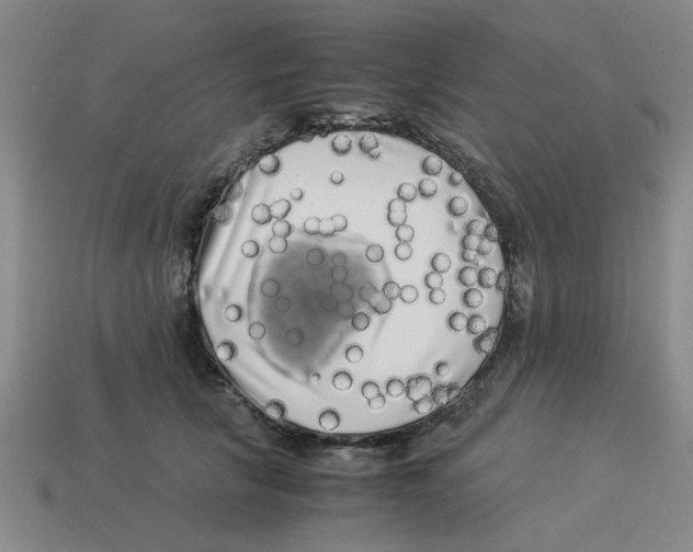 X0000114190657200911061404