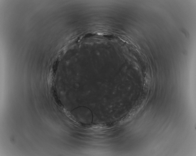 X0000114190659200911061404