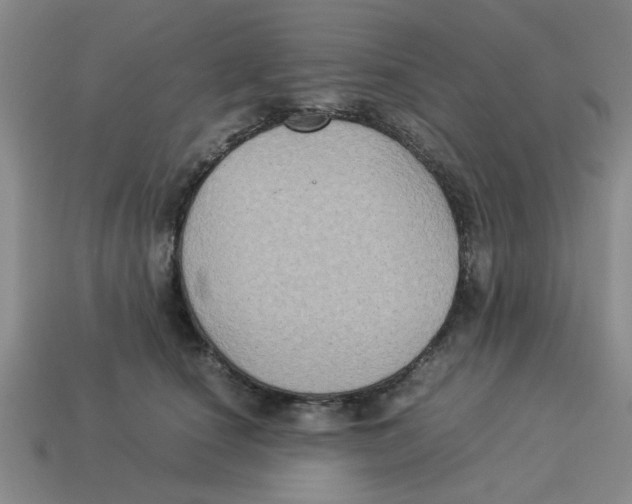 X0000114190660200911061404