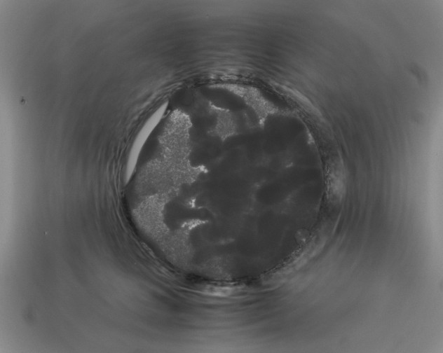 X0000114190661200911061404