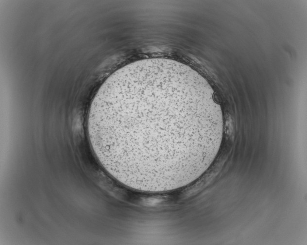 X0000114190662200911061404