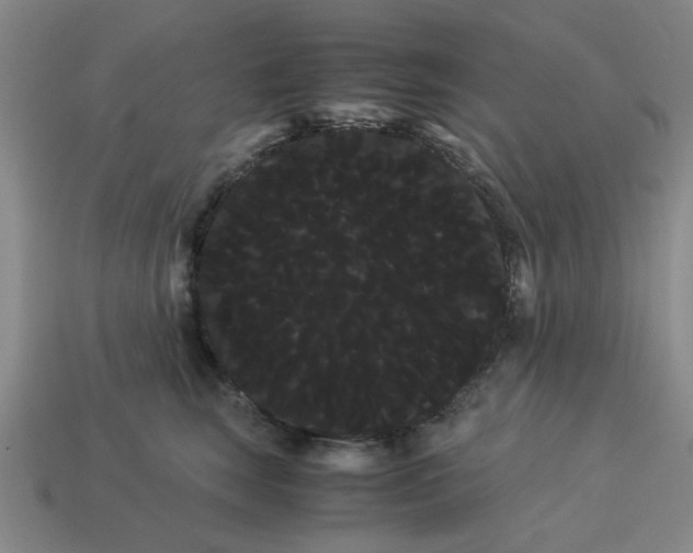 X0000114190663200911061404