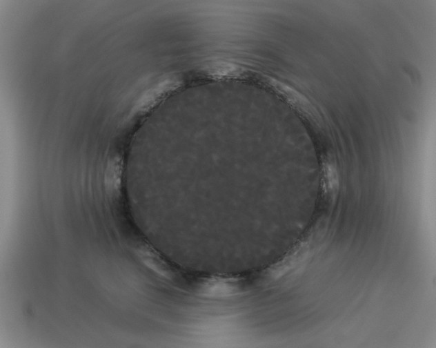 X0000114190664200911061404