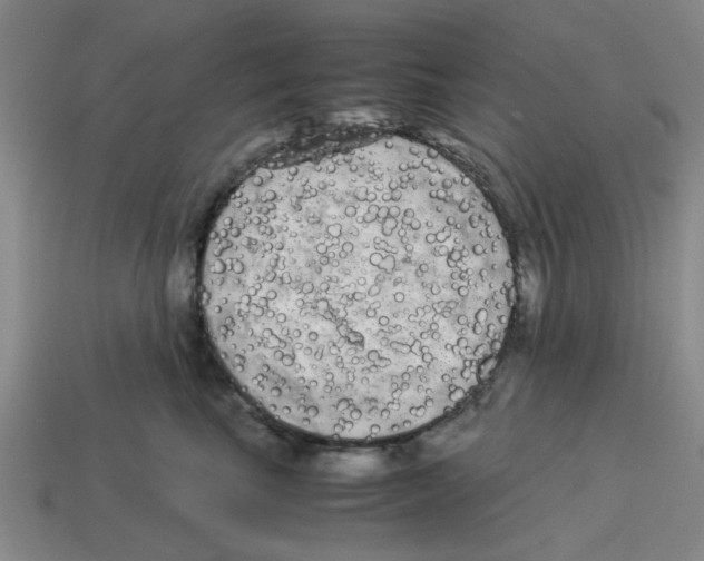 X0000114190665200911061404