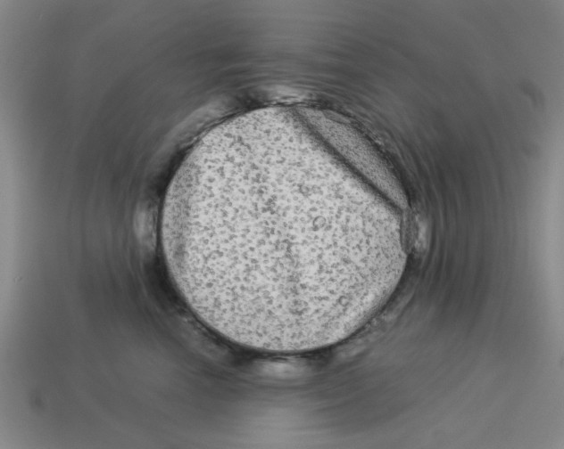 X0000114190666200911061404