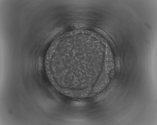 X0000114190667200911061404