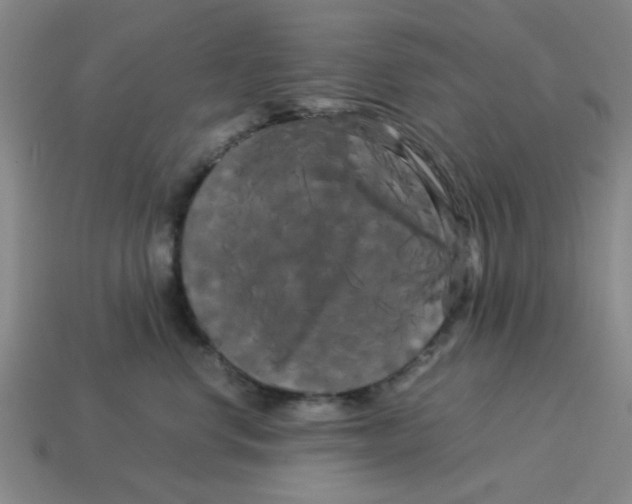 X0000114190668200911061404