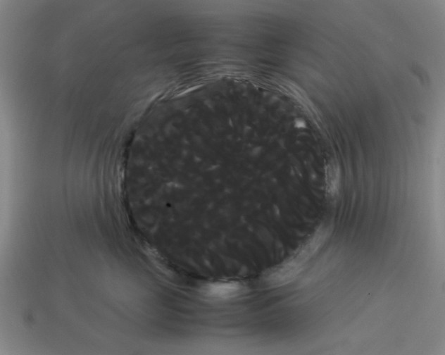 X0000114190669200911061404