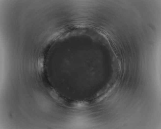 X0000114190670200911061404