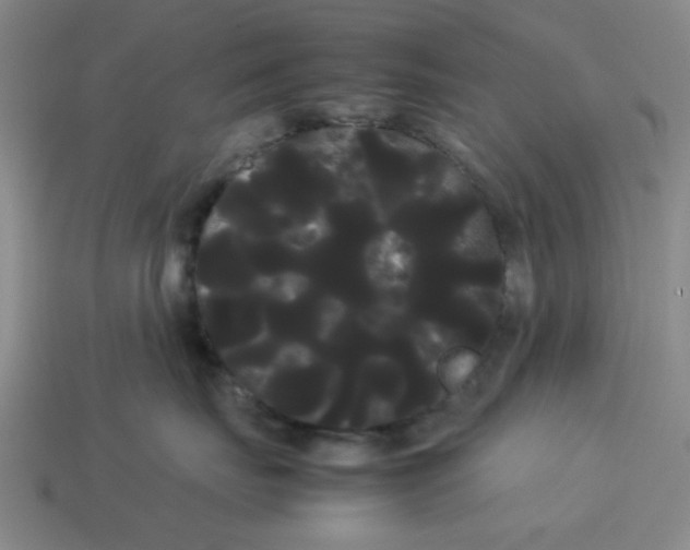 X0000114190671200911061404