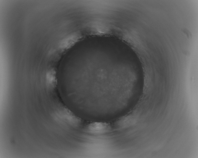 X0000114190672200911061404