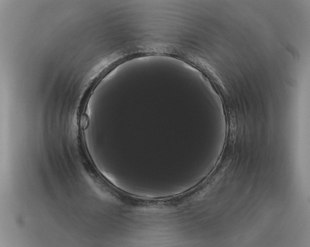 X0000114190674200911061403