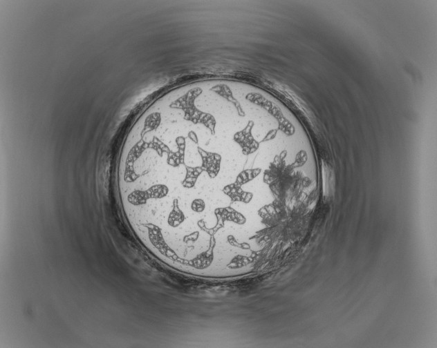 X0000114190675200911061403