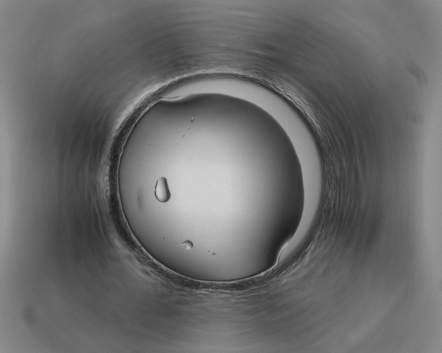 X0000114190676200911061403