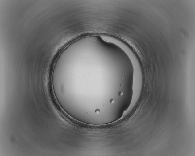 X0000114190677200911061403