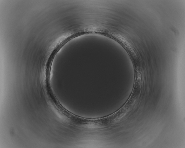 X0000114190678200911061403