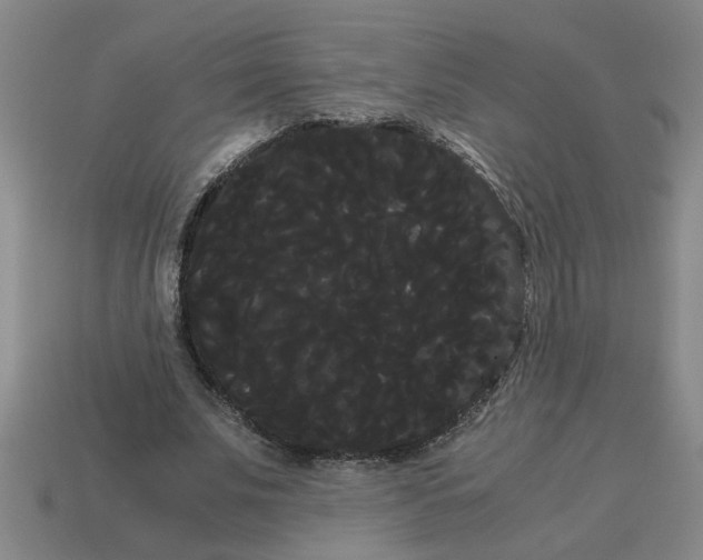 X0000114190679200911061403