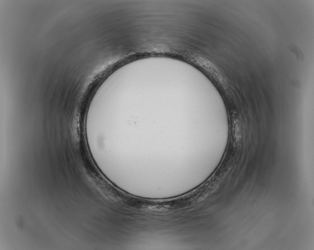 X0000114190680200911061403