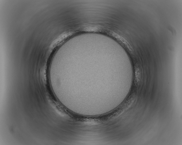 X0000114190682200911061403