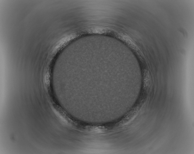 X0000114190683200911061403