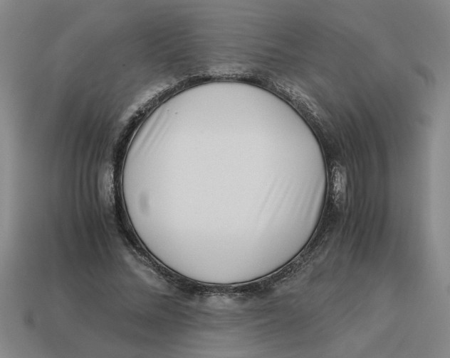 X0000114190684200911061403