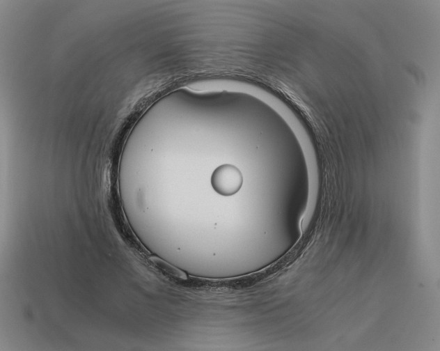 X0000114190685200911061403