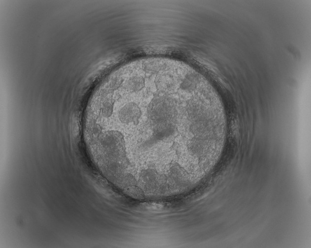 X0000114190687200911061403