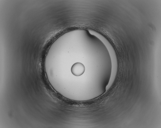 X0000114190688200911061403