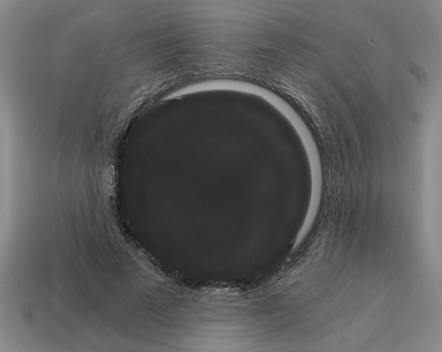 X0000114190689200911061403