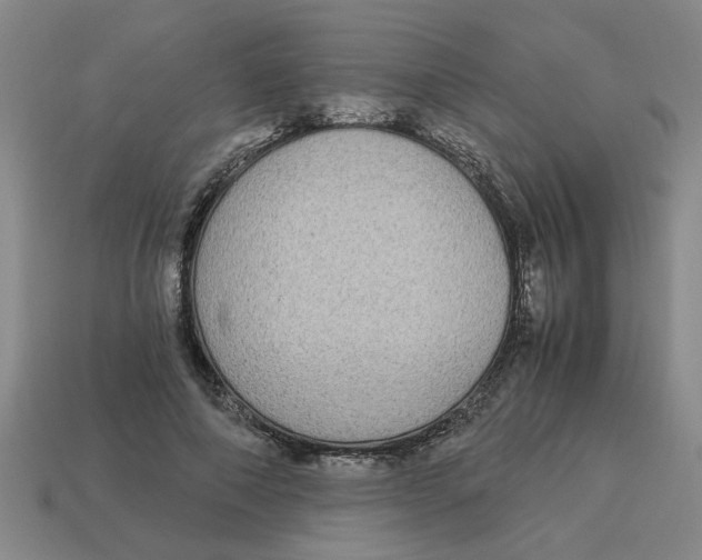 X0000114190690200911061403