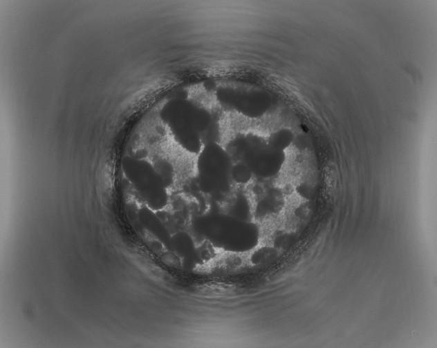 X0000114190691200911061403