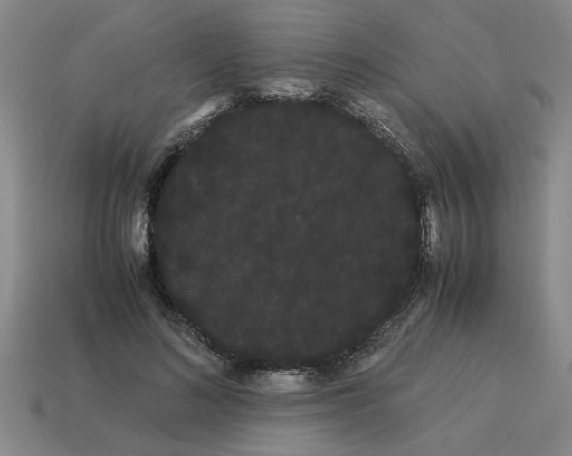 X0000114190692200911061403