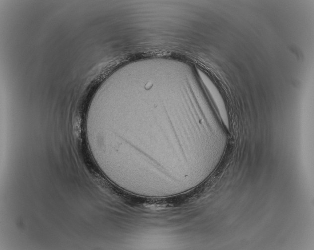 X0000114190693200911061403