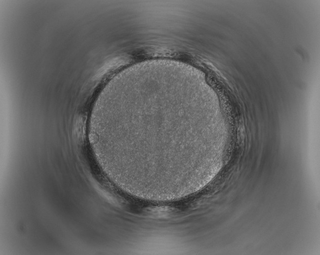 X0000114190695200911061403