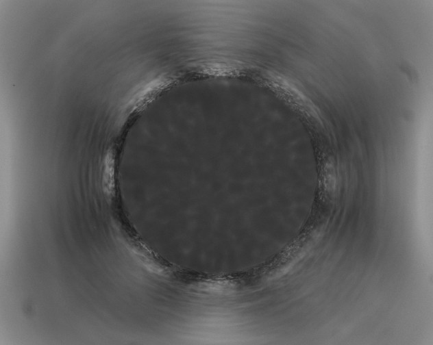 X0000114190696200911061403