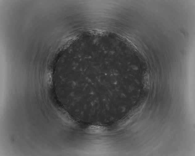 X0000114190699200911061403