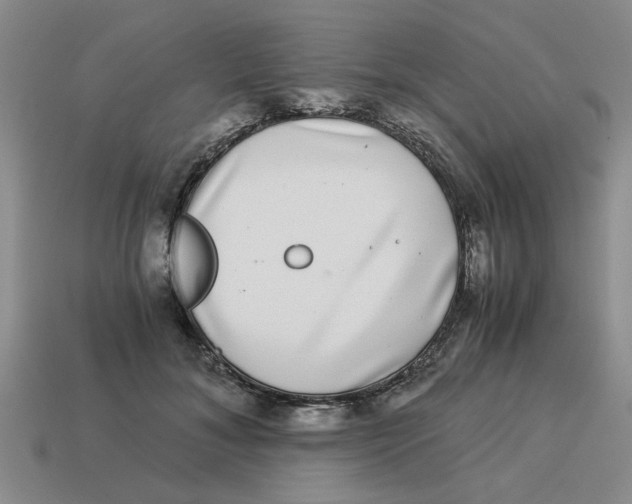 X0000114190700200911061403