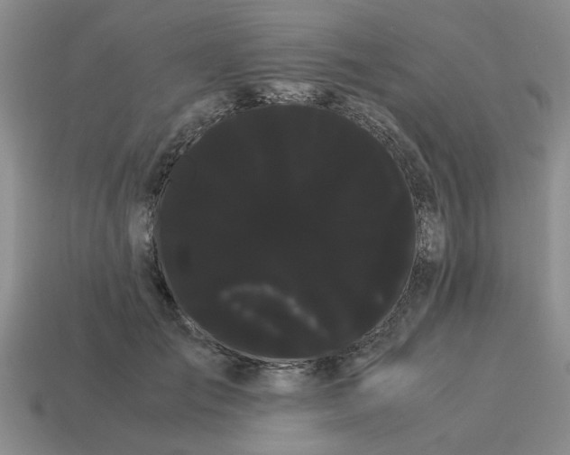 X0000114190701200911061403