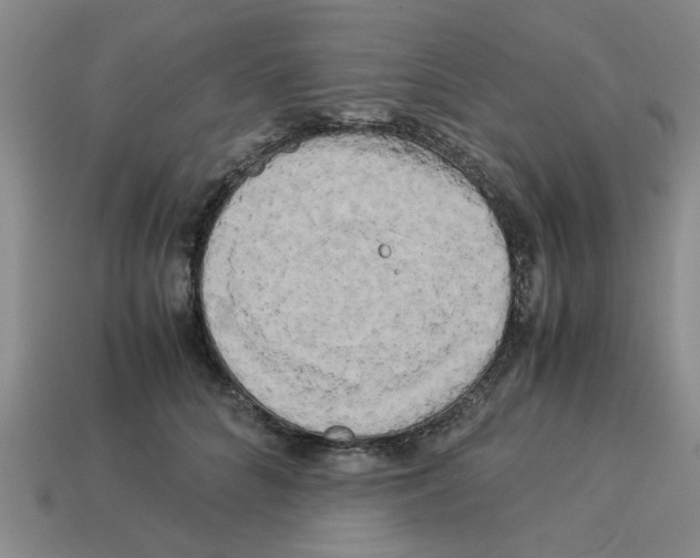 X0000114190704200911061403