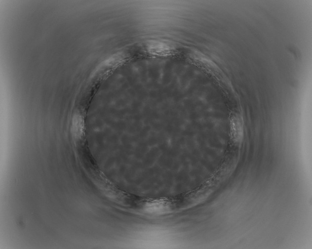 X0000114190705200911061403