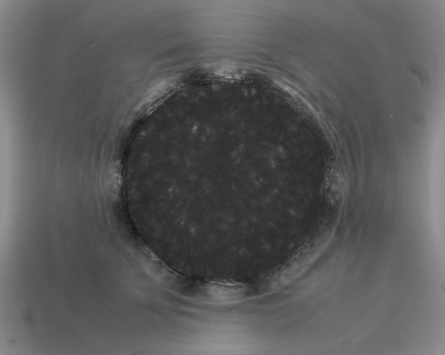 X0000114190707200911061403