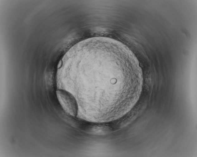 X0000114190708200911061403