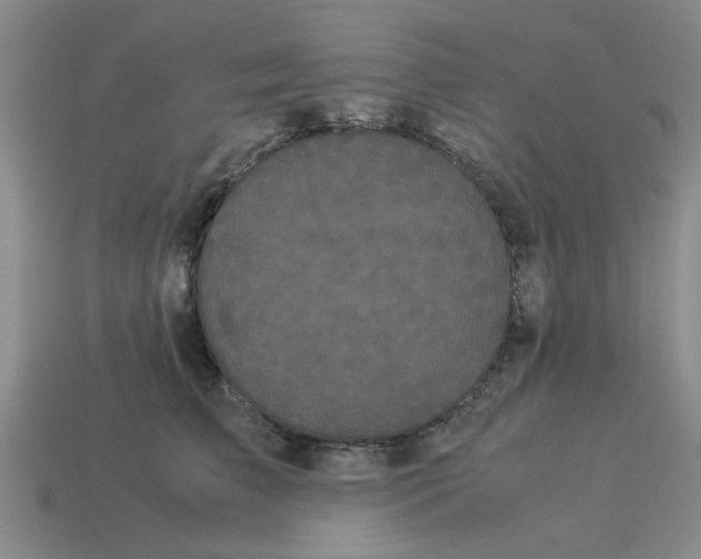 X0000114190709200911061403