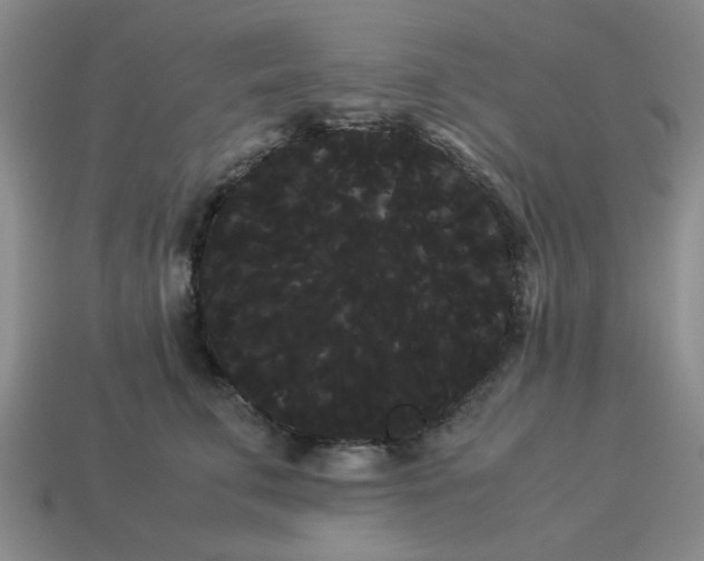 X0000114190711200911061403