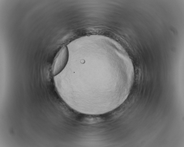 X0000114190712200911061403