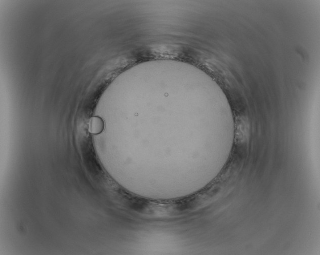 X0000114190713200911061403