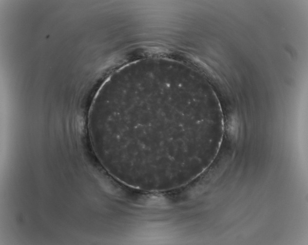 X0000114190715200911061403