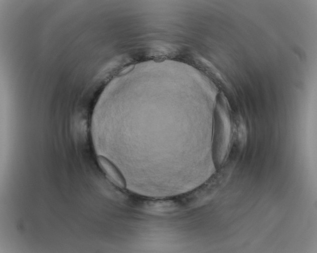 X0000114190716200911061403