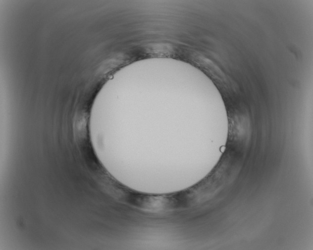 X0000114190717200911061403